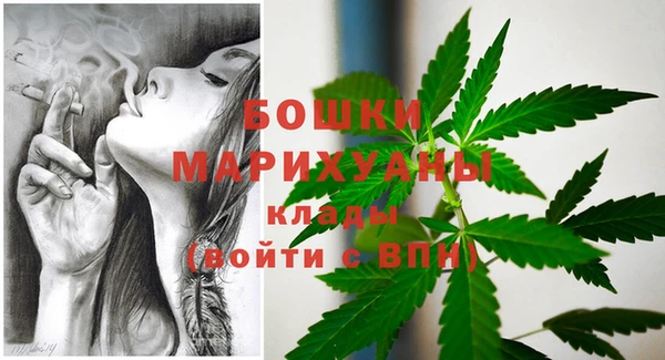 дживик Шадринск