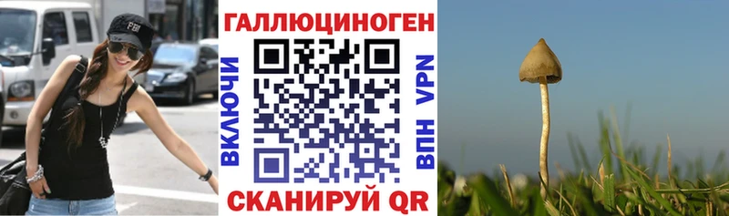 купить наркоту  Тимашёвск  omg ссылки  Галлюциногенные грибы MAGIC MUSHROOMS 